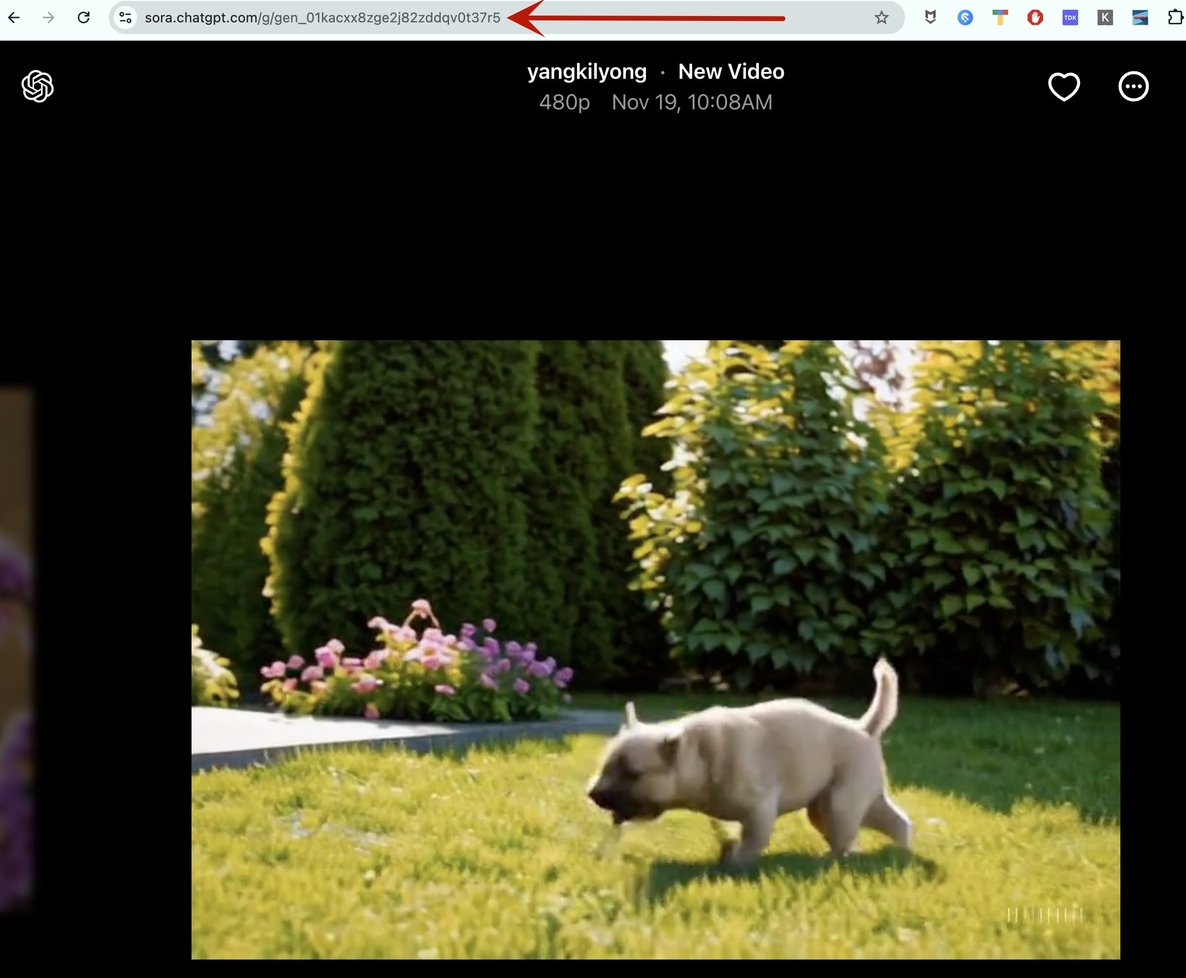 Step 2: Copy the share link